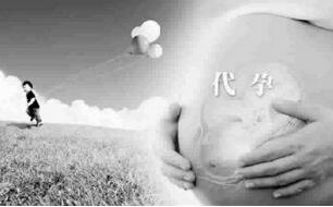 关于公司